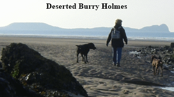 Deserted Burry Holmes